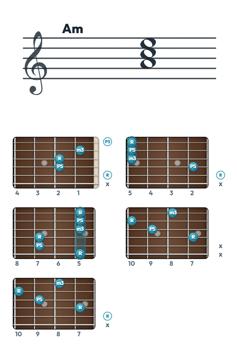 Am のギターコード表（左利き・レフティ用）｜五線譜と指板ダイアグラム一覧